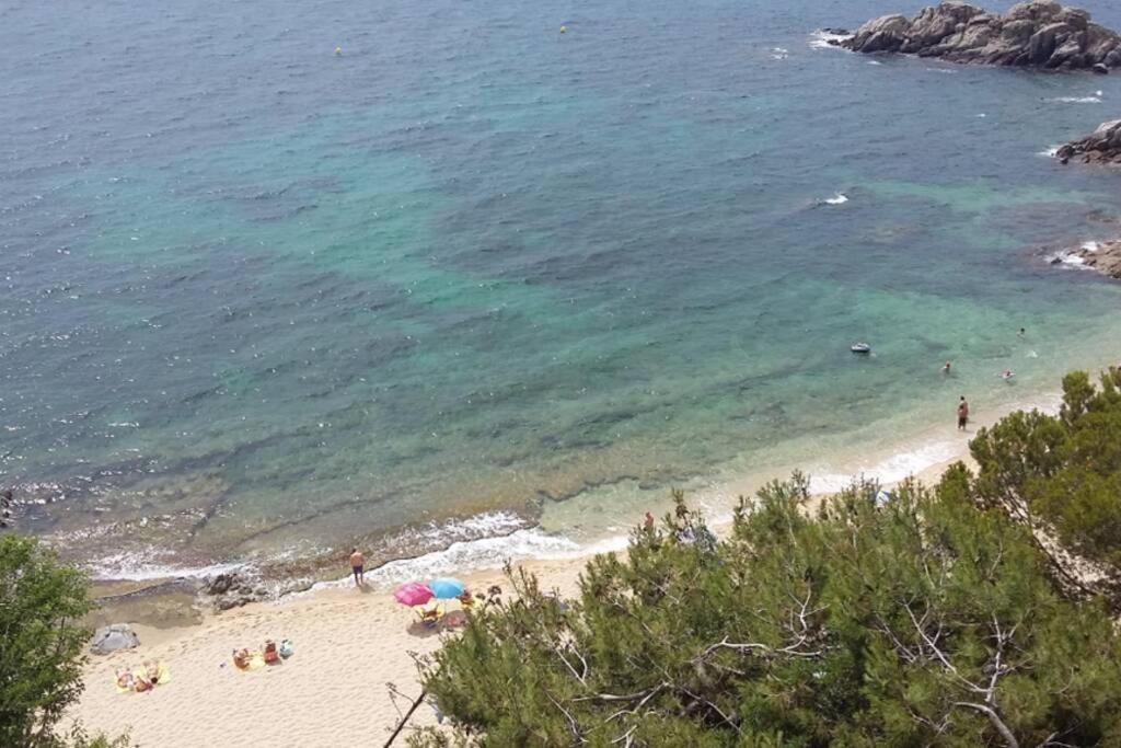 Apartamento Al Lado De La Playa Con Parking Y Jardin Platja d'Aro Dış mekan fotoğraf